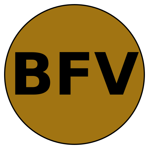 Bold Vision Fitness